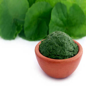 Compléments en poudre de spiruline de qualité pharmaceutique à 60 % certifiés GMP Fittree International, culture artificielle, riche en protéines - Product Image 2