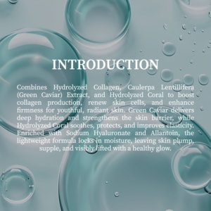 Tonique liftant instantané le plus vendu en Malaisie, OEM B2B, meilleur fournisseur garanti, soin de la peau, hydratant, tonique pour le visage, beauté - Product Image 2