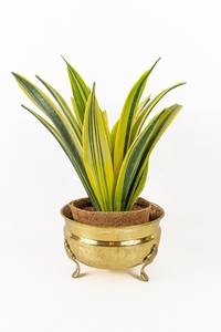 Pot de fleurs en métal de qualité supérieure pour l'intérieur et l'extérieur, avec une finition lisse, pour un style contemporain de la maison et du jardin - Product Image 4