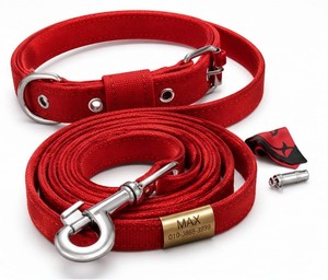 High Quality Dog <b>Collar</b> for Walking Training Outdoor Activities Nylon Material and Metal Fittings At Best Price By Exporter - Product Image 1