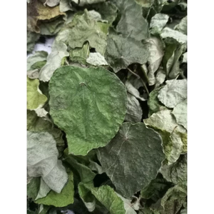 Proveedor de Hojas Secas de Yanang Vietnamitas, Hojas Secas de Tiliacora Triandra de Grado de Exportación, 4oz 7oz para la Elaboración de Gelatina - Product Image 3