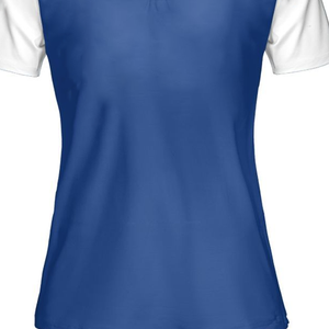 Camiseta Unisex 2026 ZPB Greek Apparel 1920 para Mujer, Azul, Bordada, para Hermandades y Fraternidades, Personalizada, de Algodón Premium, Divine Nine - Product Image 4
