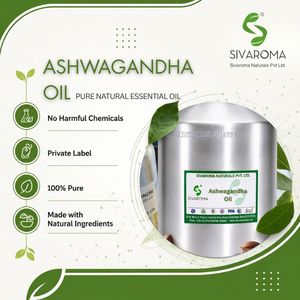 Aceite de Ashwagandha Premium para Suministro a Granel, Origen Botánico, Formulaciones para Cuidado Personal, Productos para el Cuidado del Cabello, Cosméticos - Product Image 2