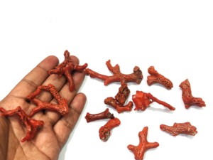 Nuggets de Coral Natural Italiano en Forma de Rama, de 2 a 3 Pulgadas, Rojos, de Forma Libre, Piezas Grandes y Gruesas - Product Image 5