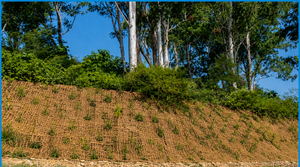 Eco2go Vietnam Heavy Duty Coconut Coir Fabric | Eco-Friendly Raw Pattern Natural Fiber Net for Soil Erosion Control - Product Image 3