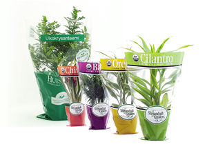 Manchons en PP personnalisés avec logo pour fleurs, sacs d'emballage en plastique coniques de qualité alimentaire biodégradables avec trous d'aération pour basilic - Product Image 6