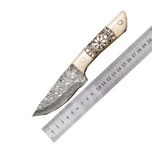 Cuchillo de Caza Profesional de Acero Inoxidable con Mango de Hueso, Cuchillo de Supervivencia Táctico para Caza y Camping al Aire Libre, Cuchillo de Hoja Fija - Product Image 6