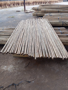 [MEILLEURE QUALITÉ] Matériel en gros de cannes en bambou Tonkin robustes pour la construction personnalisable et les projets créatifs Blue Lotus - Product Image 4