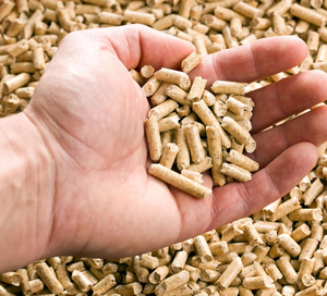 แท่งไม้อัดเม็ดพลังงานหมุนเวียนพรีเมี่ยมเป็นมิตรกับสิ่งแวดล้อมอัดแน่นด้วยความหนาแน่นของพลังงาน100% สูงเพื่อการค้า - Product Image 6