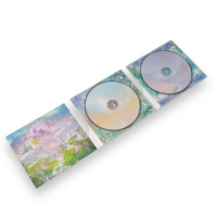 Digipak Personalizado de Doble Disco y 6 Paneles con 2 Bandejas de Plástico, Embalaje de Cartón para CD-R/Blu-ray
