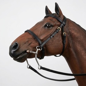 Mors de conduite pour chevaux de qualité supérieure en acier inoxydable, tailles personnalisables, logo - Product Image 3