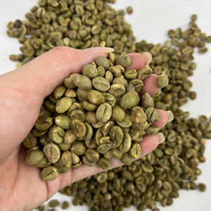 Granos de Café Verde Robusta de Vietnam, Granos Crudos Sin Tostar, Producción de Café, Proveedor Mayorista de Exportación a Granel - Product Image 4