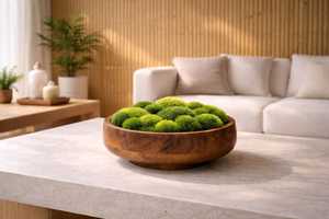 <b>Preserved</b> <b>Moss</b> Bowl Centerpiece Wooden Bowl Decor Modern Spa Table Decor Minimalist Nature Gift - Product Image 3