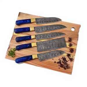 Juego de Cuchillos de Chef Profesionales de 5 Piezas de Acero Inoxidable Personalizados OEM/OBM, Mangos de Latón y Madera de Palisandro, Diseño Moderno, Alta Dureza 58 HRC - Product Image 1
