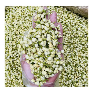 ชาดอกมะลิแห้งแบบใบชา บรรจุในถุงชาสมุนไพรเพื่อสุขภาพ - Product Image 4