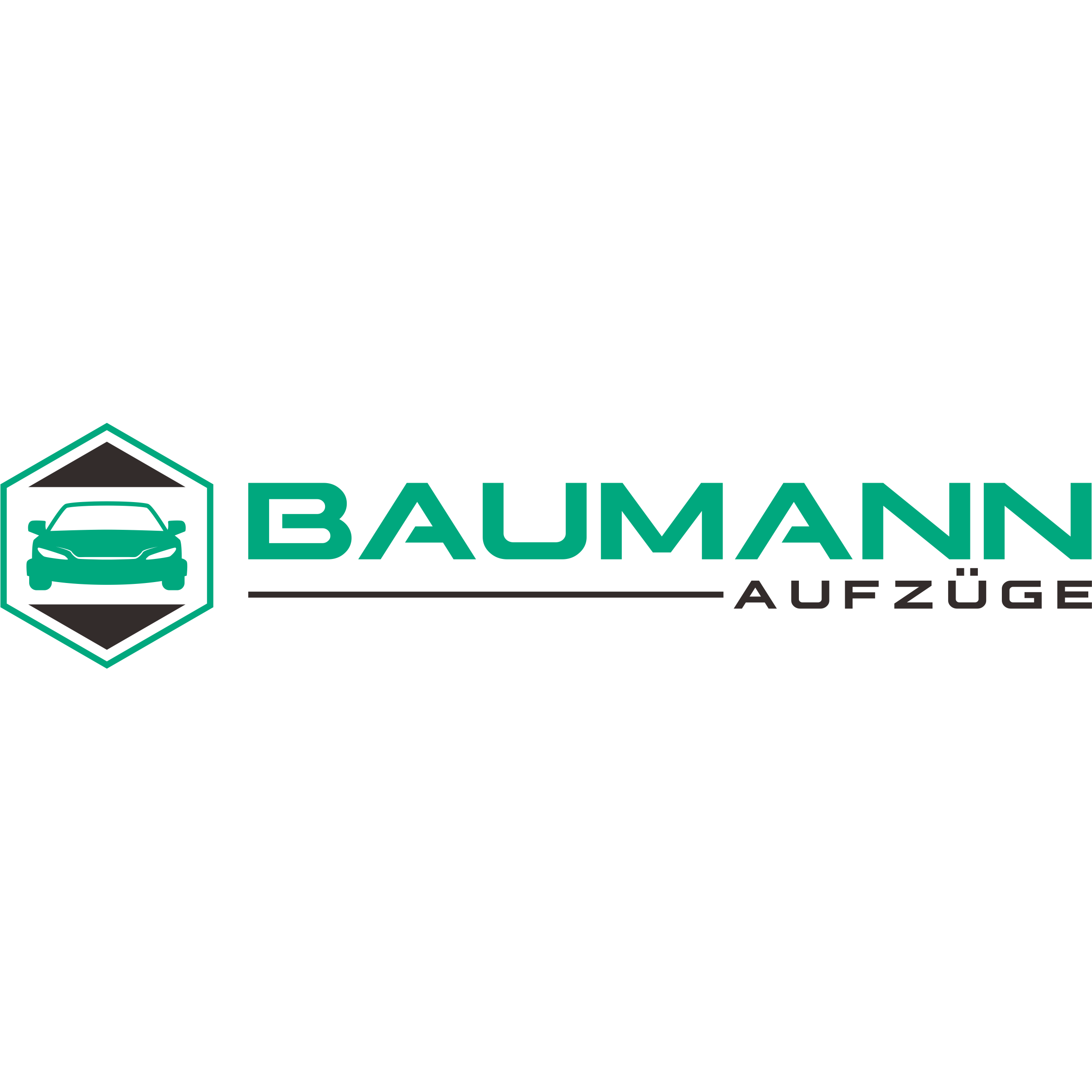 BAUMANN Aufzüge GmbH logo