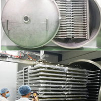 Polvo de Guayaba Liofilizado de Grado Alimenticio, Venta al por Mayor a Granel, Exportación a India, Maharashtra