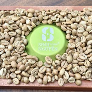 Granos de Café Verde Robusta de Vietnam, Alta Calidad, Proceso Honey, Secado al Sol, Venta al Por Mayor, Exportación, Proveedor Premium, 60 kg - Product Image 6