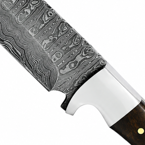 Couteau à lame fixe à manche en bois brun foncé, motif Damas, avec garde en argent, lame grise gravée et rivets en laiton pour l'extérieur - Product Image 6