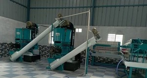 Usine de moulin à huile avec une capacité de 5 tonnes/jour, une puissance de 15 CV et une capacité de production de 3 tonnes/jour pour une extraction d'huile efficace - Product Image 3