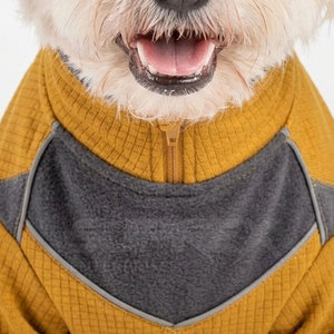 Conjunto Deportivo Elegante y Cómodo para Mascotas, Ropa Deportiva de Tela Suave, Adorable, Bajo MOQ - Product Image 3