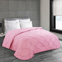 Couette matelassée bleu clair, couleur unie, style moderne, 100% polyester, lavable, ensemble de literie 4 pièces, 300 fils, usage domestique