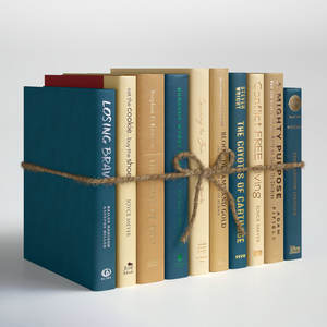 Libros Decorativos DreamCraft: Decoración Creativa y Novedosa para el Hogar de Vietnam - Product Image 3