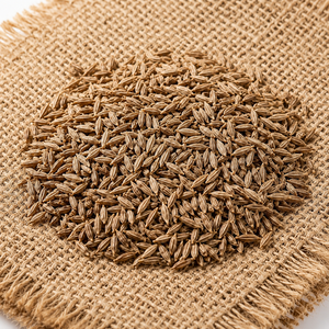 Graines de cumin indiennes certifiées biologiques de qualité supérieure cueillies à la main taille uniforme vente en gros pour l'industrie alimentaire - Product Image 1