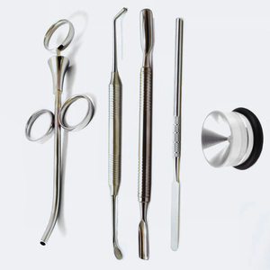 Juego de instrumentos dentales de alta calidad, kit de herramientas dentales de acero inoxidable de grado profesional para uso de dentistas y clínicas. - Product Image 6