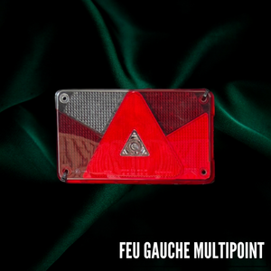 Luz Trasera Izquierda Multipoint 5 - Product Image 1