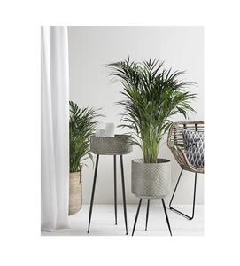 Jardinera Urbana de Metal con Soporte, Ideal para Apartamentos Metropolitanos con Plantación Vertical Inteligente - Product Image 5