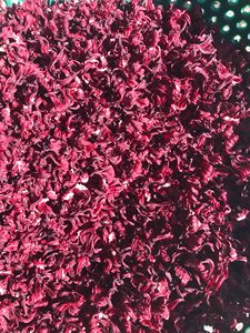 ดอกกระเจี๊ยบแดงแห้งแบบขายส่ง ปราศจากสารกันบูด บรรจุถุง จากเวียดนาม/คุณลิมา - Product Image 6