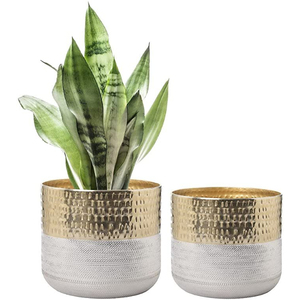 Jardinières en métal doré, forme ronde, accessoires de jardin pour la maison, balcon, patio, pots et jardinières - Product Image 3