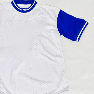 Custom ZPB Unisex Embroidered White Pullover <b>Baseball</b> Jersey Blue Sleeves Breathable HBCU Greek Sorority & Fraternity Apparel - Product Image 3