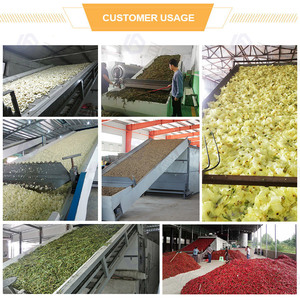 Prix usine Palm Kernel Noyer Sèche Machine Noix Pistaches Copra Séchoir Noix De Coco Sèche À Vendre - Product Image 5