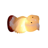 Lampe de sel naturelle sculptée à la main en forme d'animal, éclairage écologique, fabricant du Pakistan, faible MOQ et production rapide d'échantillons