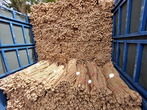 ขายส่งวัตถุดิบแห้งจากผักตบชวาที่เป็นมิตรกับสิ่งแวดล้อม/ ผักตบชวาแห้งสำหรับทำงานฝีมือ คุณลิลลี่ - Product Image 4