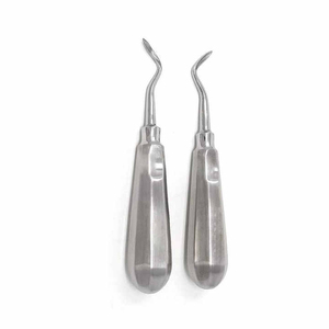 Élévateur dentaire à lame droite pour extraction de racine, instrument chirurgical dentaire manuel en acier inoxydable - Product Image 6