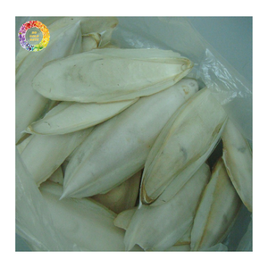 Hueso de Sepia Seco Natural Premium, Alto en Calcio, Alimento para Animales, Alimento para Aves, Grado A para Mascotas, Proveedor Mayorista de Vietnam - Product Image 1