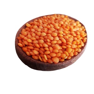 ถั่วเลนทิลแดงคุณภาพสูง ขายส่งจำนวนมาก ราคาถูก คุณภาพสดใหม่ - Product Image 2