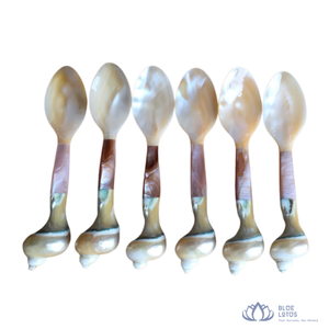[DISPONIBLE] |   Cuillère à caviar en nacre, cuillère durable en coquillage pour crème glacée, œufs, apéritifs, dégustation, fabrication Vietnam - Product Image 1