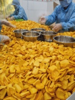 [Bestseller] Gedroogde Jackfruit, gesneden, zoete smaak, 3-5% suiker, vacuüm verpakt, bulk, oorsprong Vietnam, voor export naar Nederland