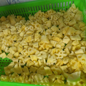 Tranches d'ananas surgelées de qualité alimentaire, récolte fraîche, chair sucrée, pour desserts, provenance Vietnam - Product Image 4