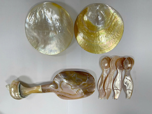 White Mother of Pearl Spoon Mix Colorful Handle, Seashell Caviar Spoon, Caviar Server Available Size 10-12cm Handmade Vietnam - Product Image 6