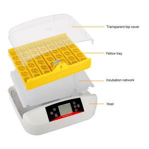 Incubatrice Automatica per Pollame da 42 Uova, Standard USA, con Visore per Uova - Realizzata in PC di Alta Qualità per Anatre - Product Image 4