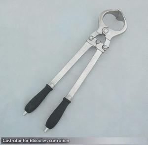 Pinza de Castración Burdizzo de Acero Inoxidable Alemán Reutilizable Tegra de 16'' para Animales Grandes, Instrumento Veterinario para Toros y Ganado - Product Image 5