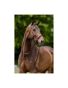 Lasting Durability High Quality Leather Equestrian Horse Bridle Customizable Designed for Reliable Use Comfortable Fit - Product Image 3