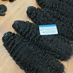 Cheveux Humains Bruts Vietnamiens Bouclés Birmans Noirs Premium, Tissage Double Drawn Épais et Plein, Pointes Denses - Product Image 4