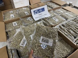 พร้อมส่งปี 2026 ปลาแอนโชวี่เวียดนามเกรดพรีเมียมจากฟาร์มบลูโลตัส ตากแห้งด้วยลม สำหรับทำซุปและของว่าง บรรจุภัณฑ์สุญญากาศ - Product Image 1