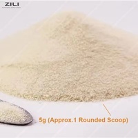 Creatina Monohidrato Micronizada de Marca Privada en Polvo 250mg 500g Suplementos de Creatina Monohidrato en Polvo OEM